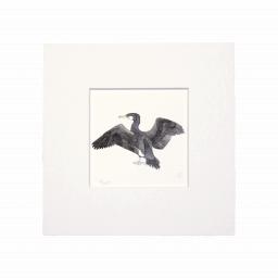 Cormorant Mini Print