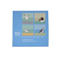 bird notelets - the back of a boxed set of 8 notelets featuring sea birds