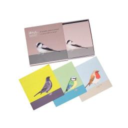 bird notelets - a boxed set of 8 notelets featuring garden birds