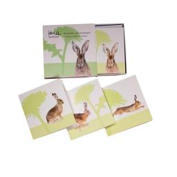 hare notelets - a boxed set of 8 notelets featuring a hare