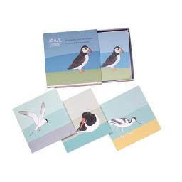 bird notelets - a boxed set of 8 notelets featuring sea birds
