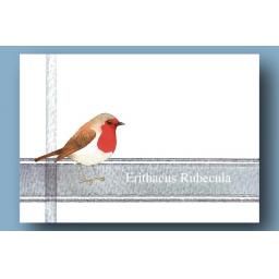 Postcard Packs - Garden Birds