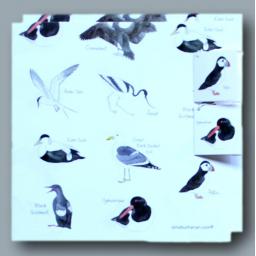 Wrapping paper with sea bird design