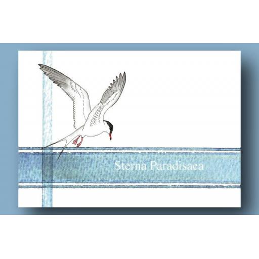 Postcard Packs - Sea Birds