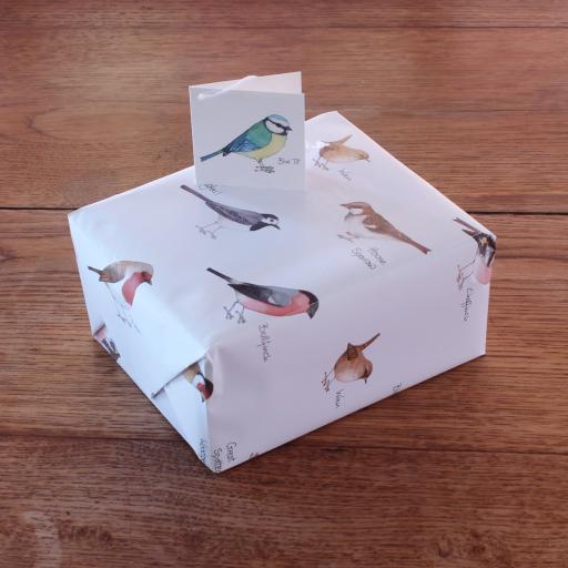 Wrapping paper with garden bird design