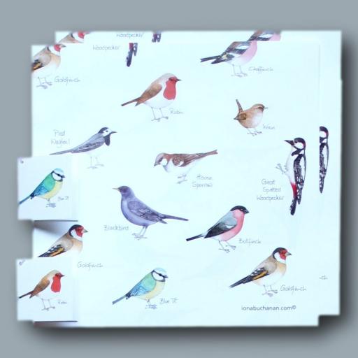 Wrapping paper with garden bird design