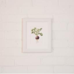 turnip small framed.jpg