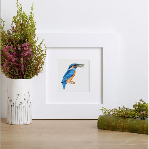 Kingfisher Mini Print