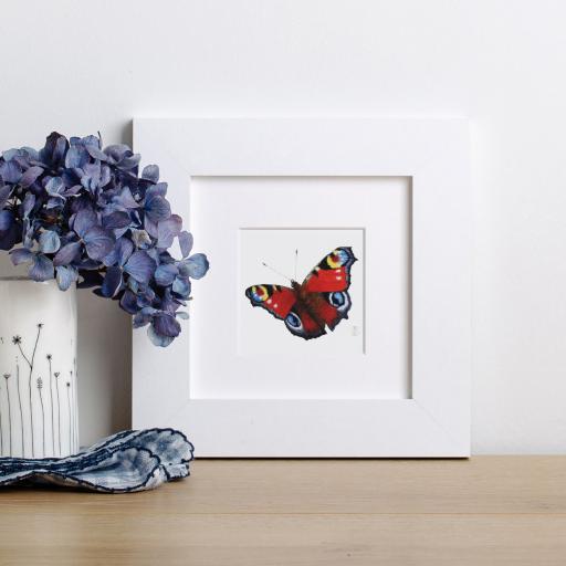 Peacock butterfly mini print