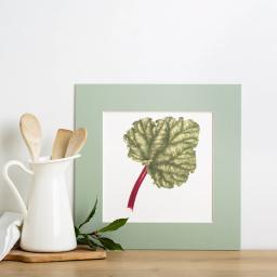 medium rhubarb print hero green mount for web.jpg